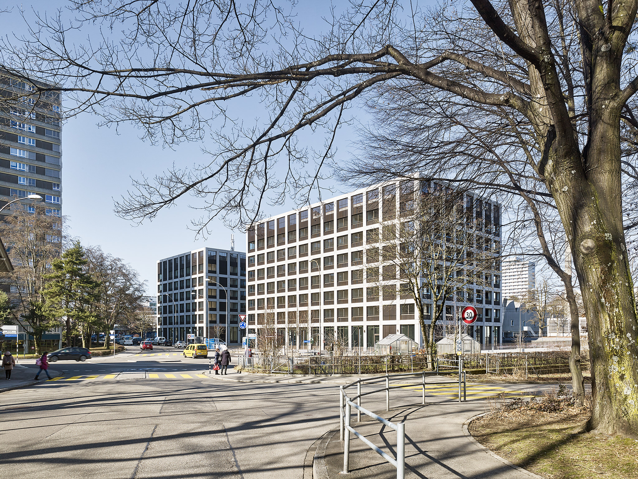 E16615 · Halter Cosmos